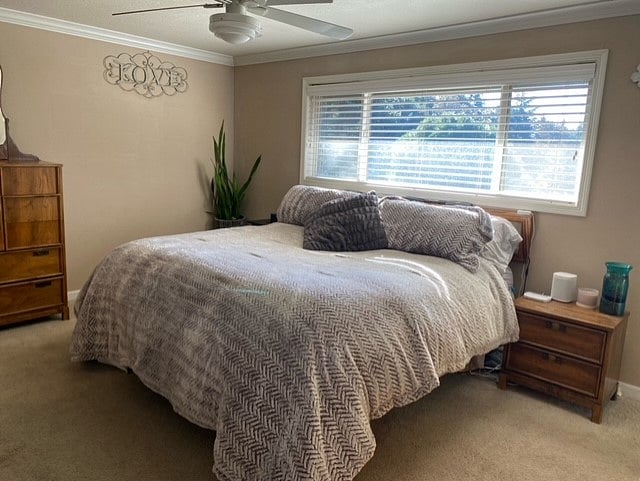 Furnished Finder property 449816_1 photo 20