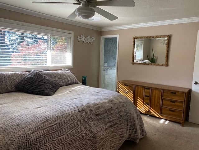 Furnished Finder property 449816_1 photo 21