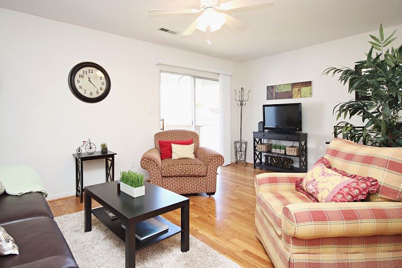 Furnished Finder property 449837_1 photo 8