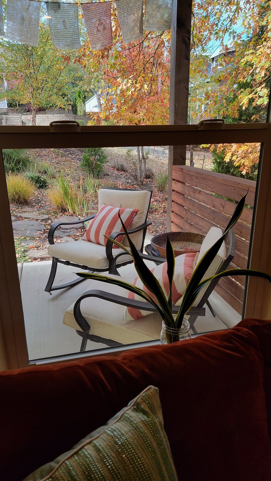 The view from the couch!