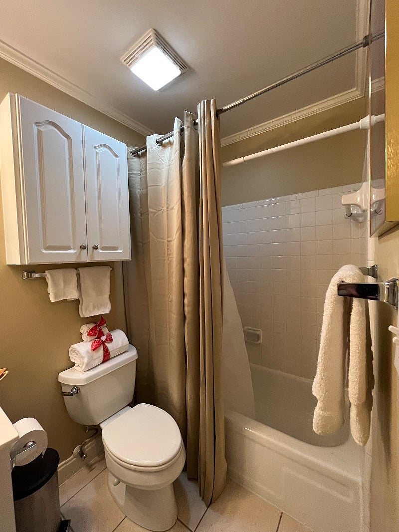 Master Bath