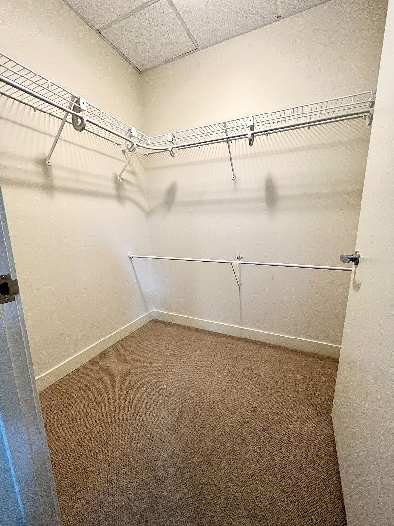 Main Walk-In Closet