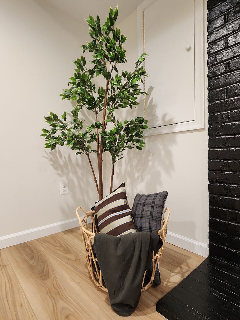 Furnished Finder property 450152_1 photo 15