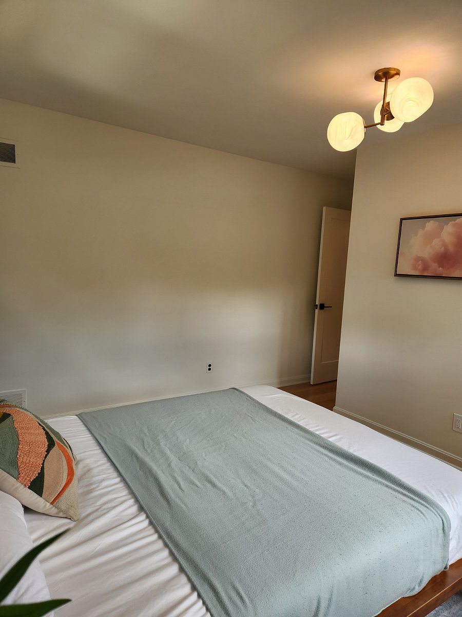 Furnished Finder property 450152_1 photo 20