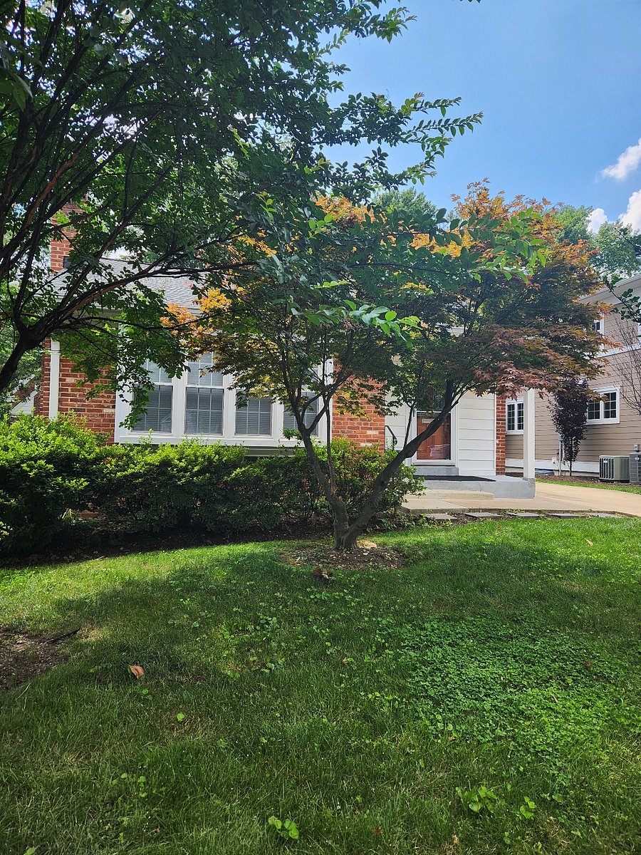 Furnished Finder property 450152_1 photo 28
