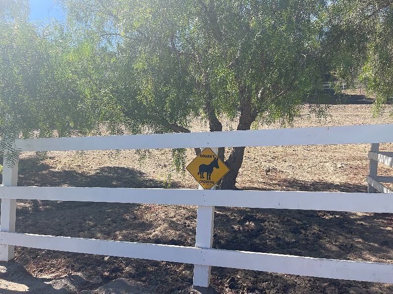 Gap 1 Bedroom 1 Bath Donkeys Area 
