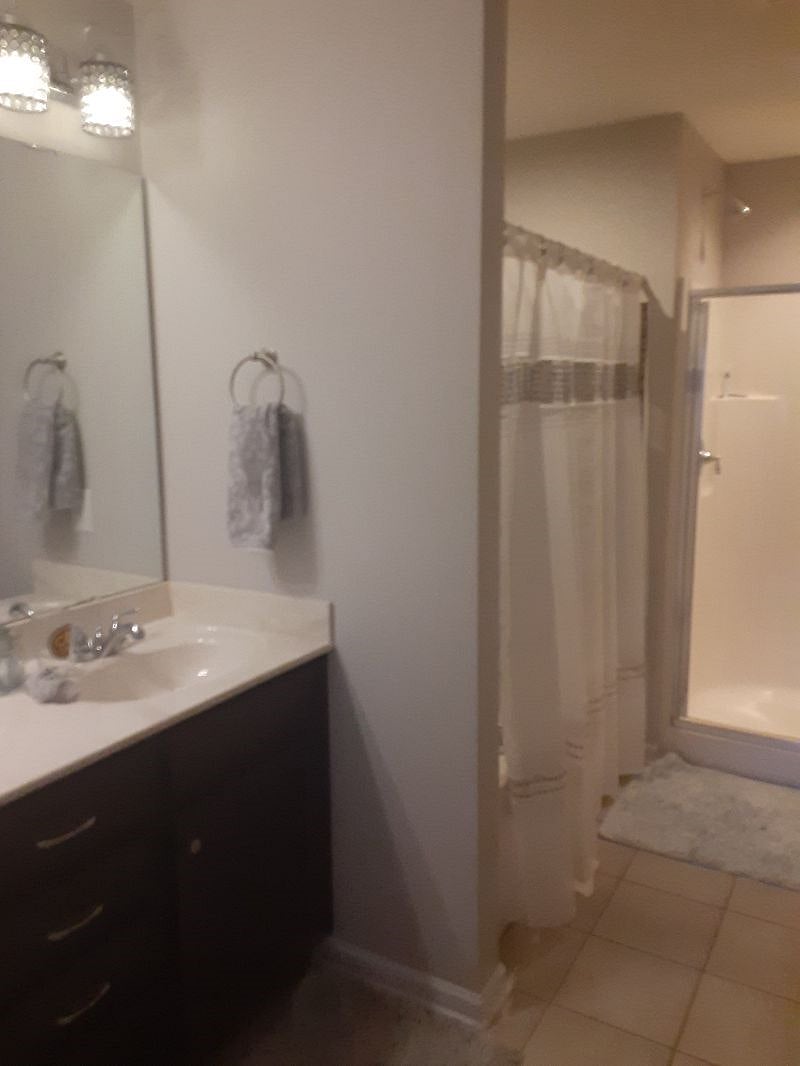 Master ensuite bathroom with double vanity, tub, and shower