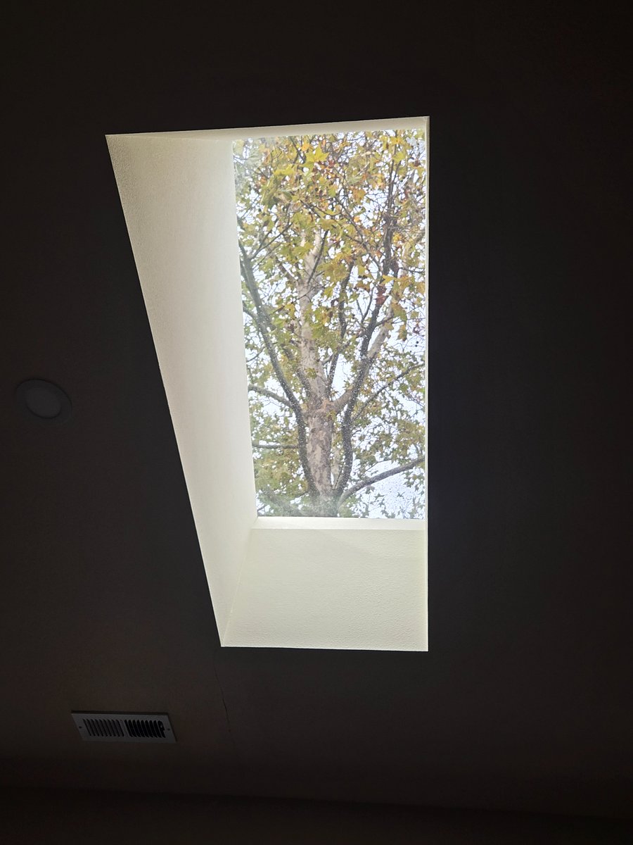 Skylight in the kitchen/living space, windows throughout, and open floor plan living