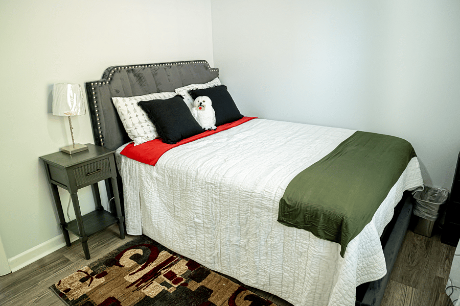 Furnished Finder property 450562_1 photo 26