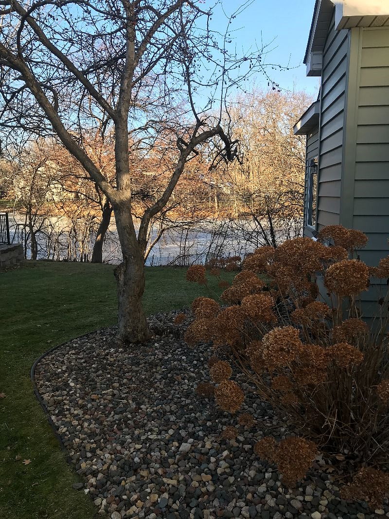 View of pond from outside front door