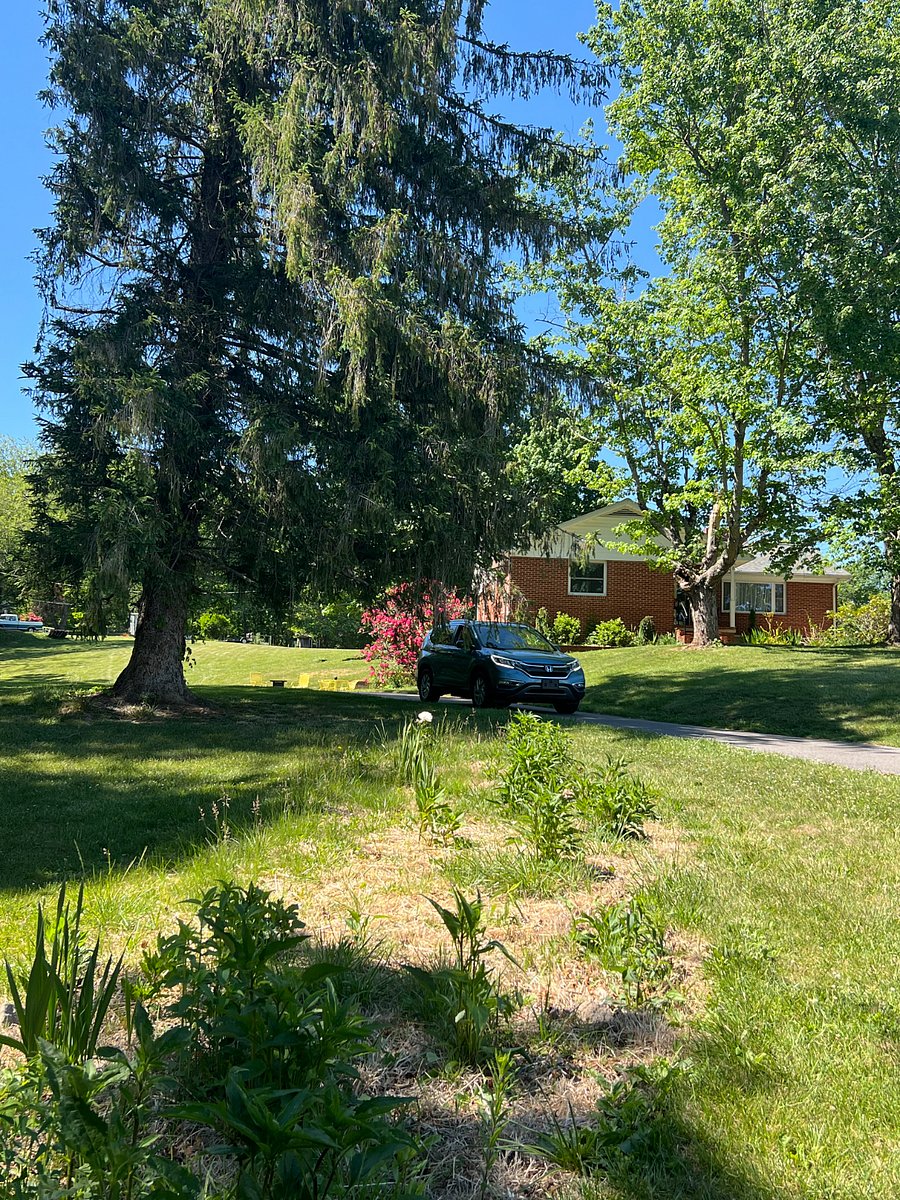 Furnished Finder property 450671_1 photo 29