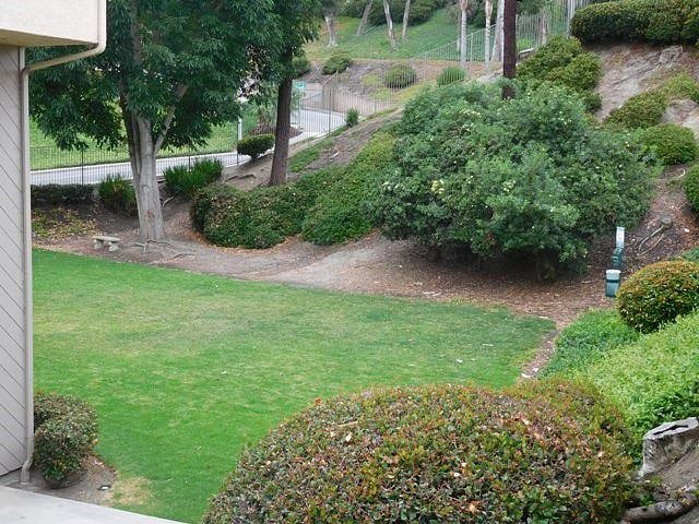 Furnished Finder property 450852_1 photo 18
