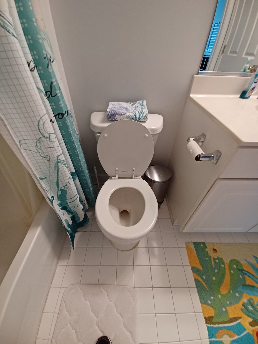 Furnished Finder property 450933_1 photo 4