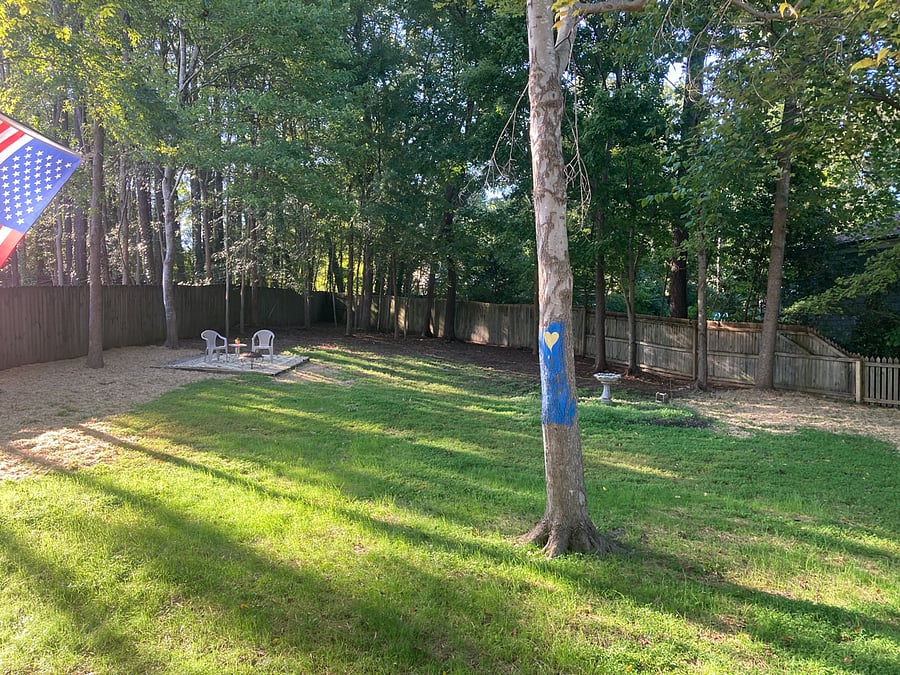 Furnished Finder property 450948_1 photo 26