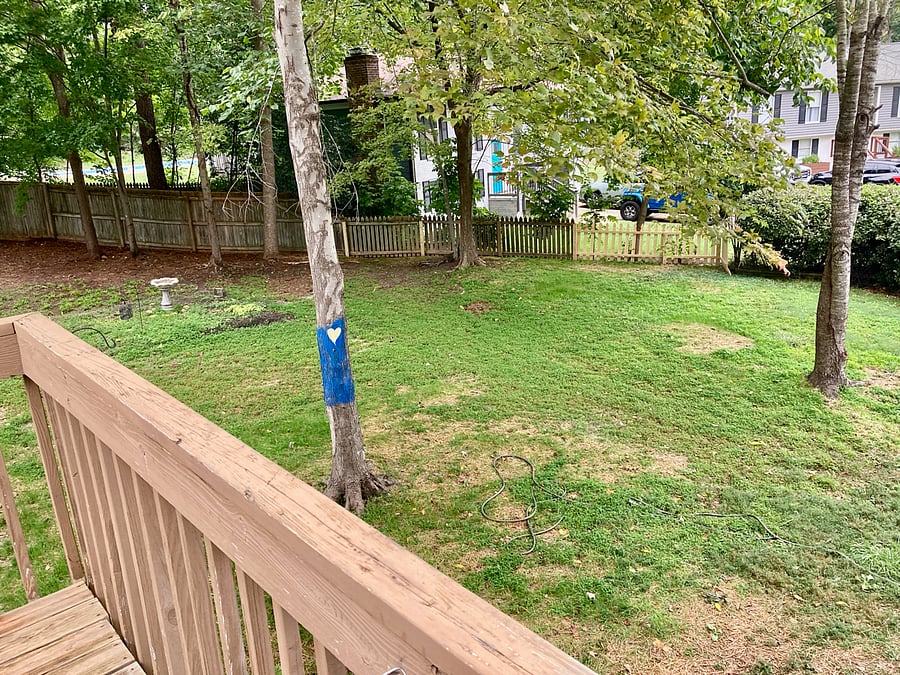 Furnished Finder property 450948_1 photo 27