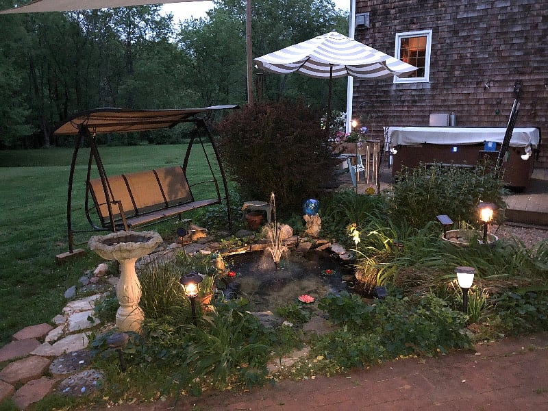 Backyard with little pond