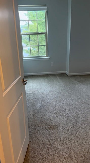 Furnished Finder property 451101_1 photo 4
