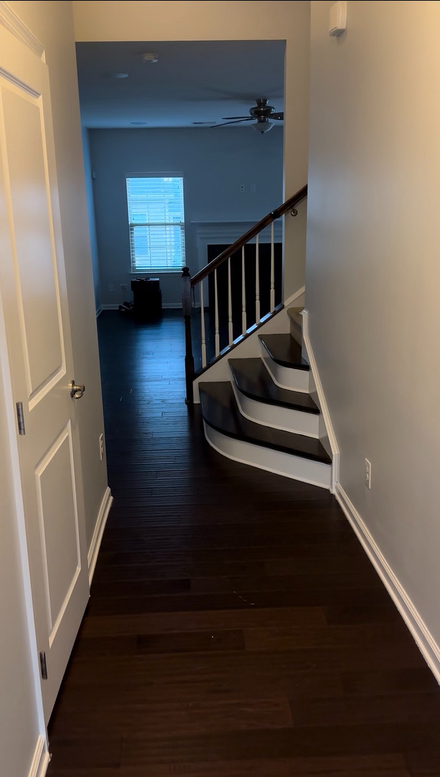 Furnished Finder property 451101_1 photo 14