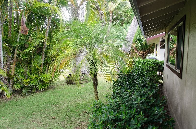 Furnished Finder property 451103_1 photo 3