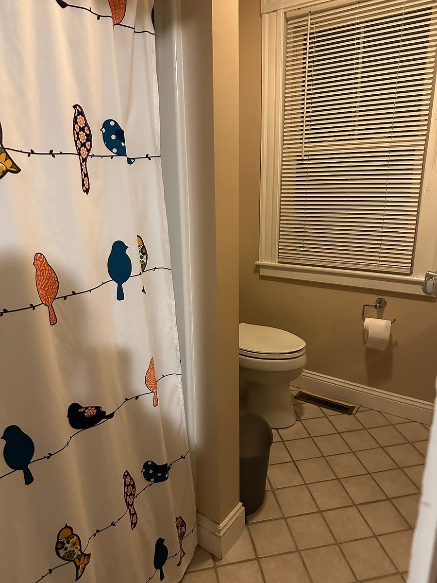 Furnished Finder property 451176_1 photo 27