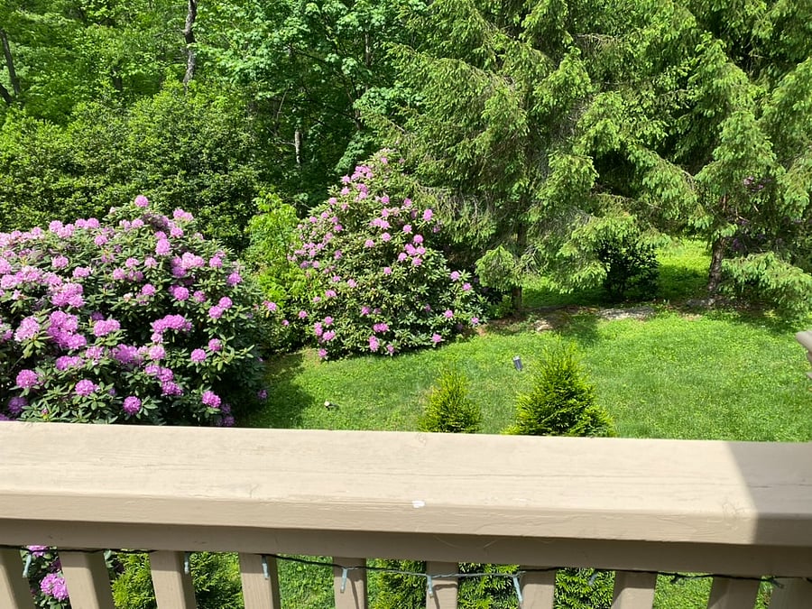 Furnished Finder property 451242_1 photo 19