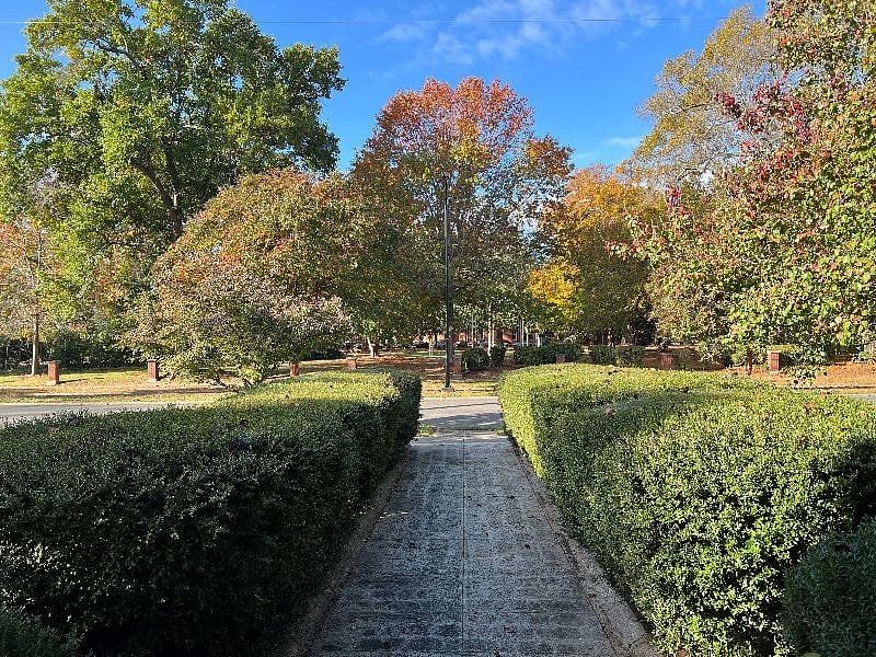 Grand walkway to Oakland Avenue