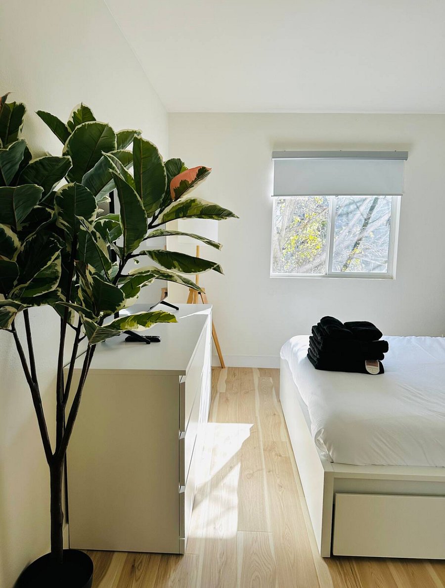 Furnished Finder property 451519_1 photo 10