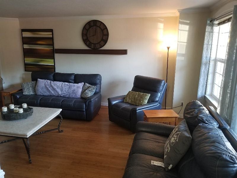 Furnished Finder property 451538_1 photo 5