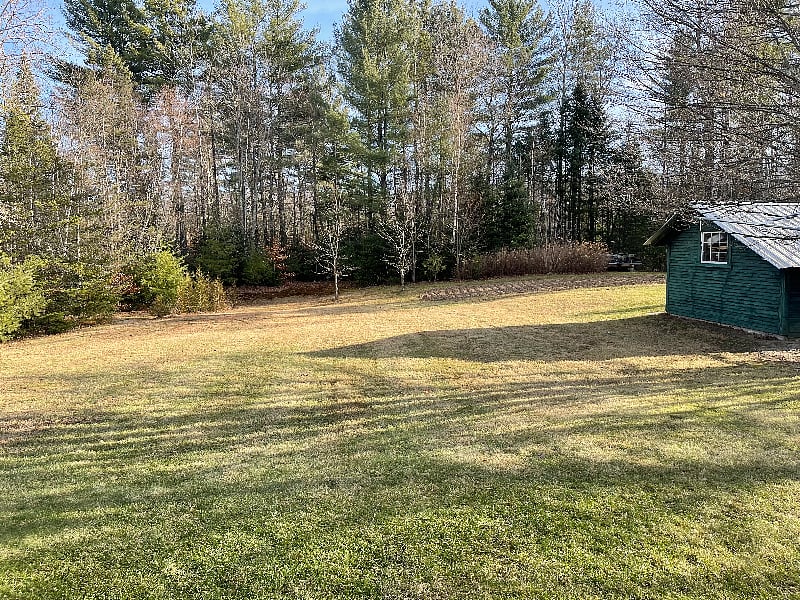 View from breezeway back door