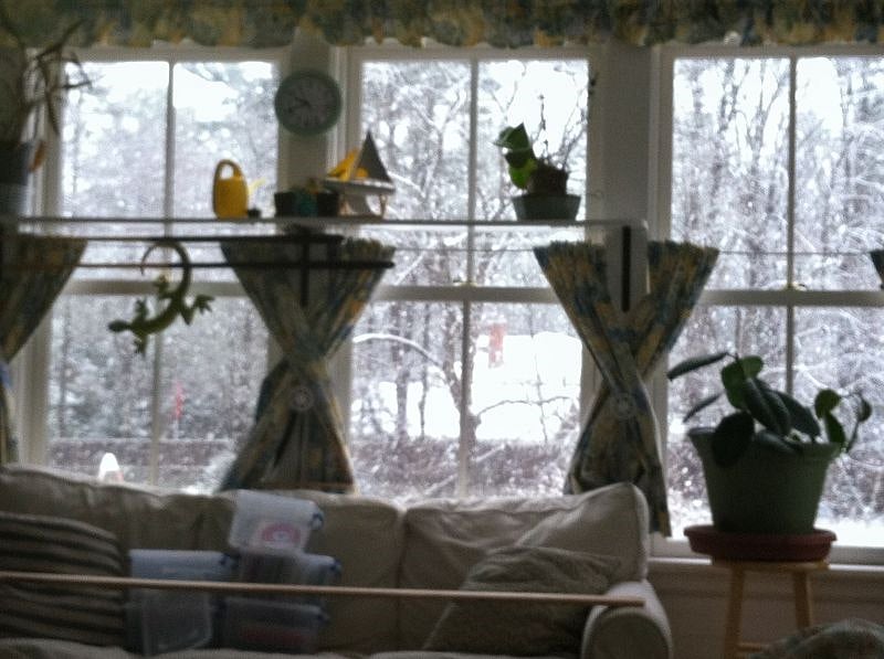 Furnished Finder property 451744_1 photo 9