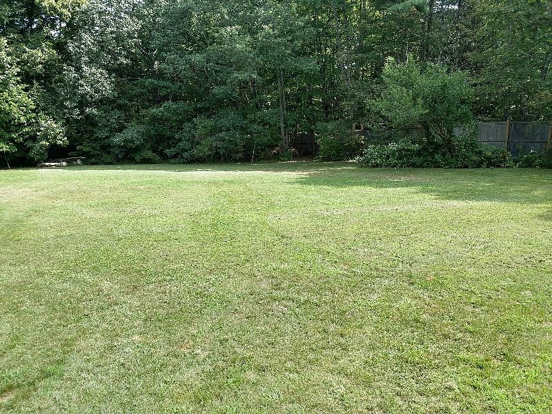 Furnished Finder property 451744_1 photo 13