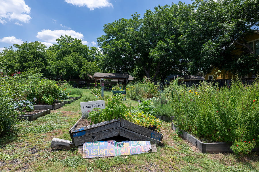 Fairmount Community Garden Public Pick Plot