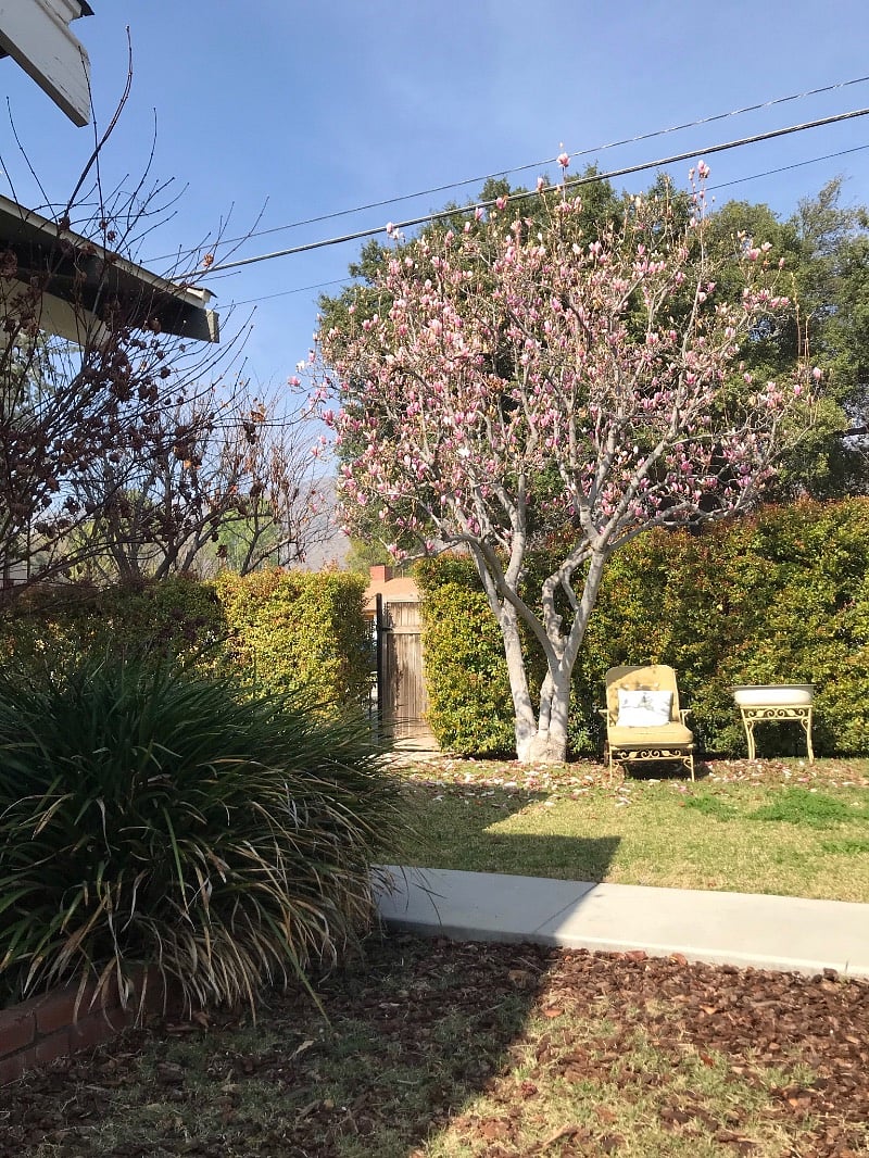 Furnished Finder property 452402_1 photo 11