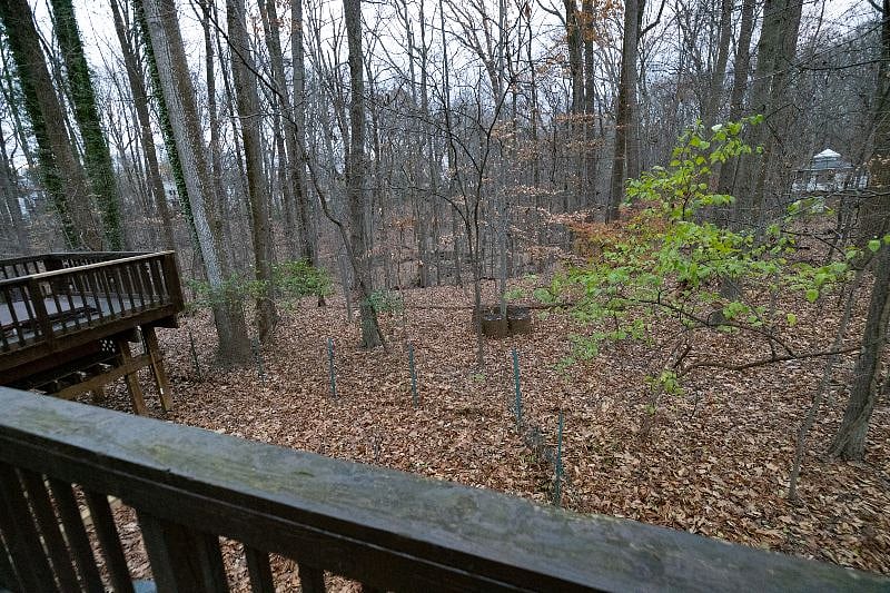 Furnished Finder property 452434_1 photo 17