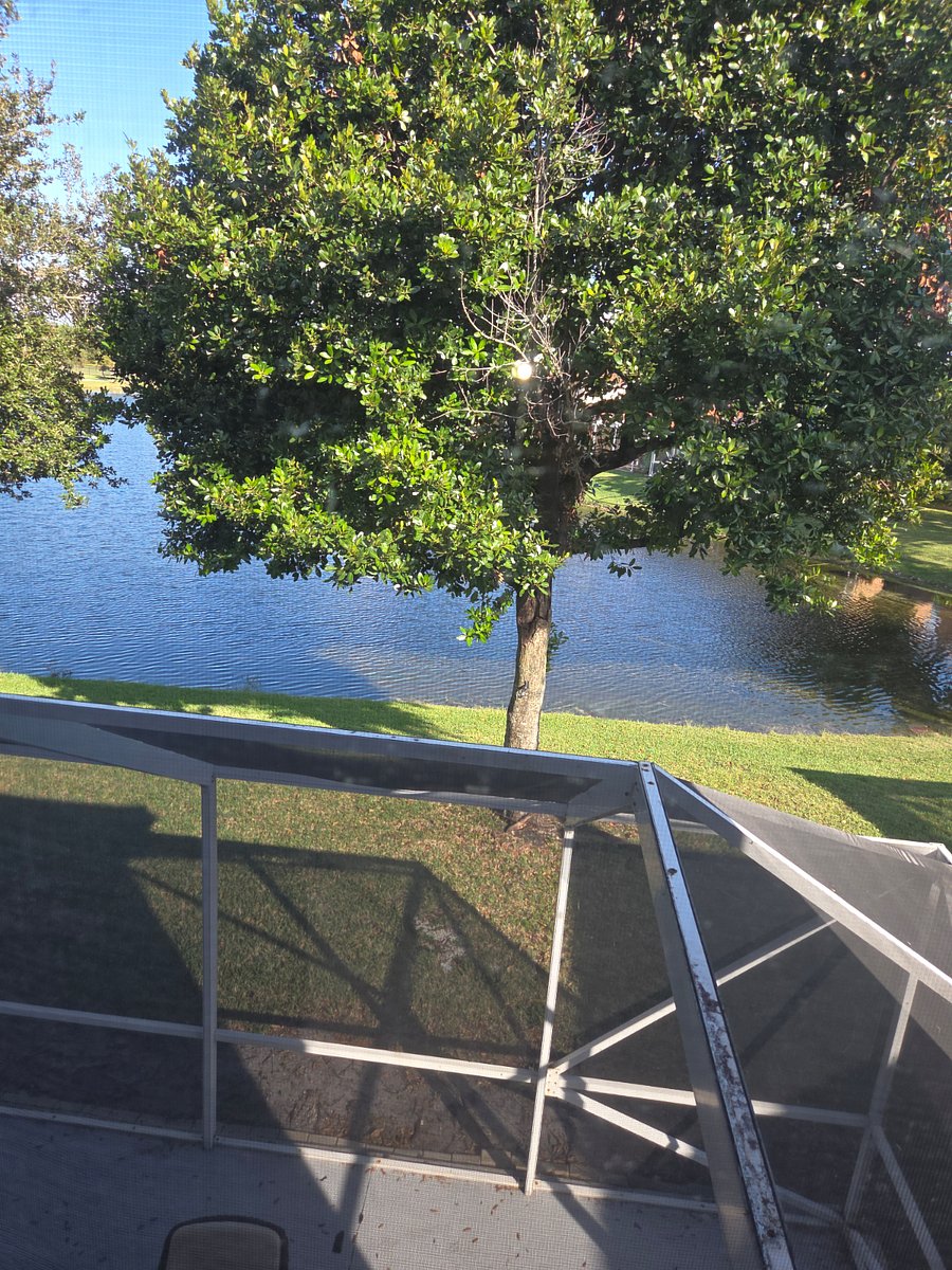 Furnished Finder property 452477_1 photo 23