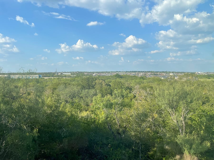 Best views of nature from your Master Bedroom
