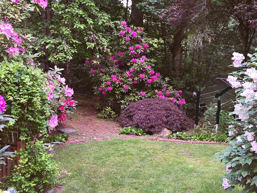 Furnished Finder property 453083_1 photo 22