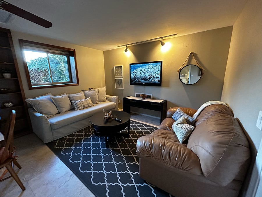 Living room area with TV and Queen sleeper sofa.