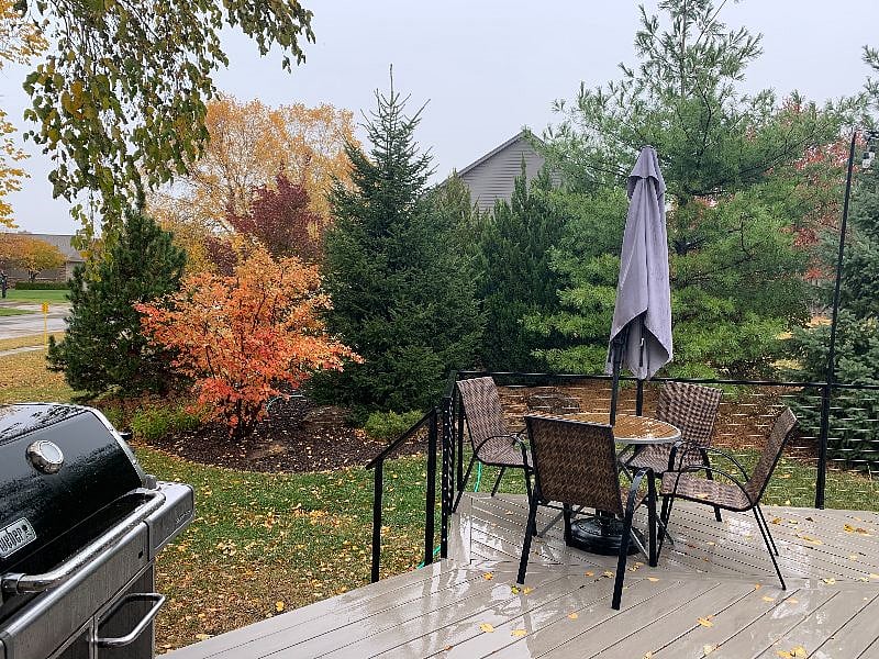 View from back door