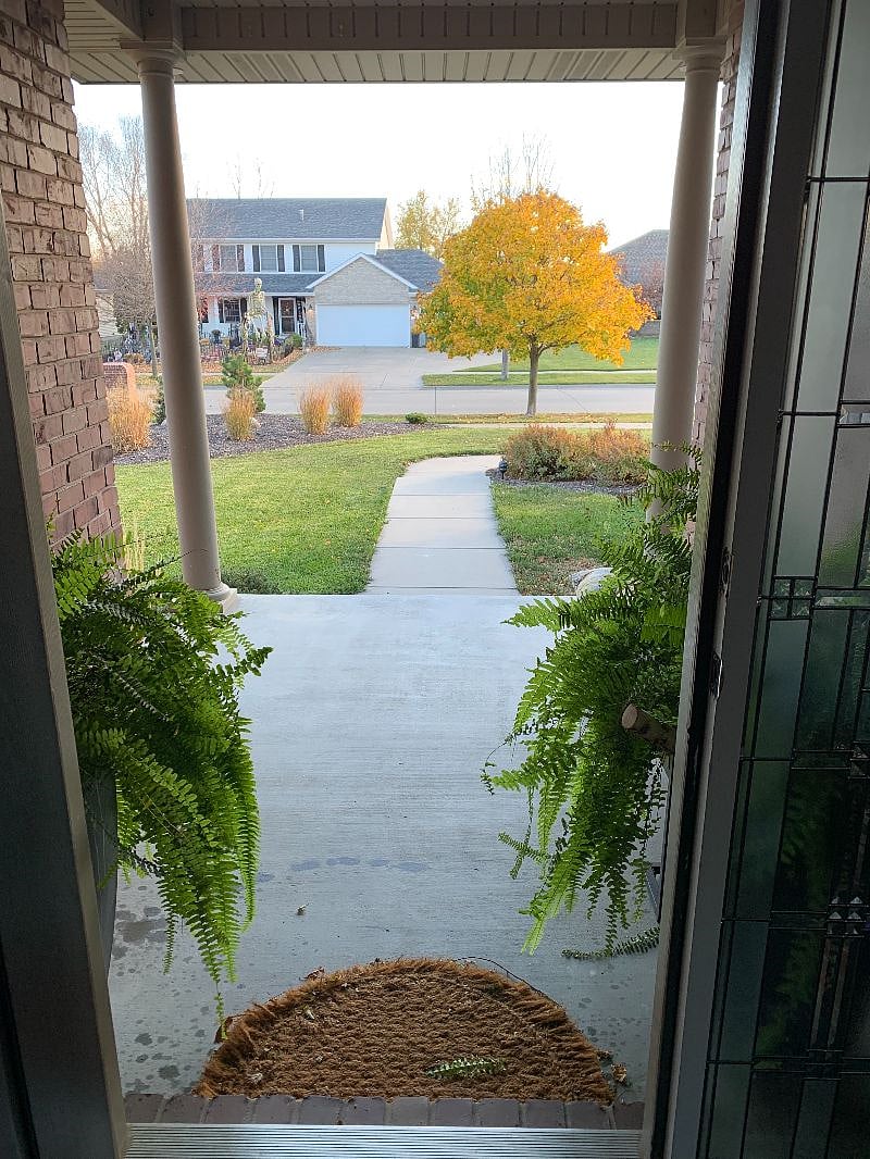 View out front door