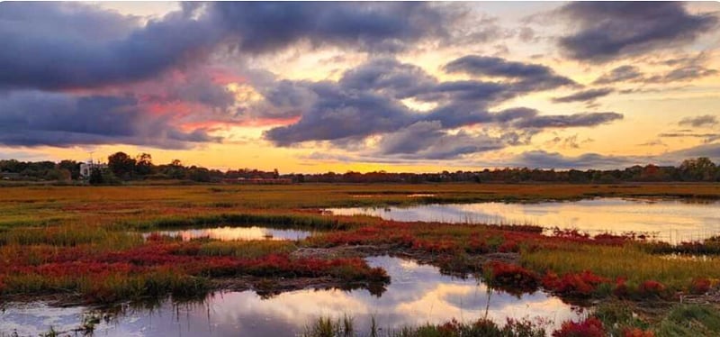 Squantum Marshes
https://ebird.org/hotspot/L1135300

