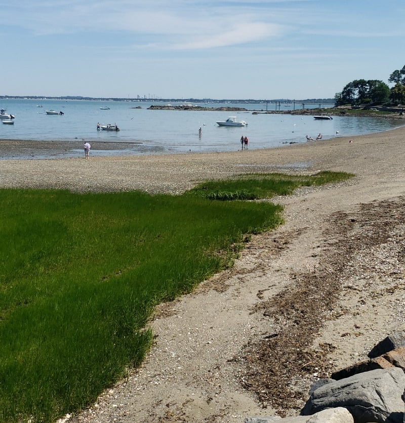 Orchard Beach
Nickerson Beach