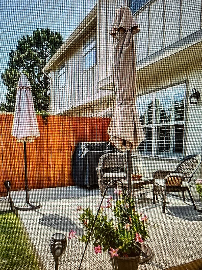 Furnished Finder property 453355_1 photo 6
