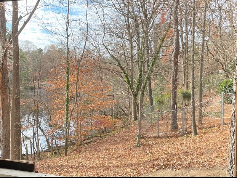 Furnished Finder property 453482_1 photo 26