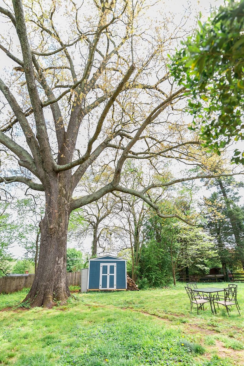 While staying in our basement apartment, you have full access to our spacious backyard, which is shaded by the largest tree in the neighborhood!