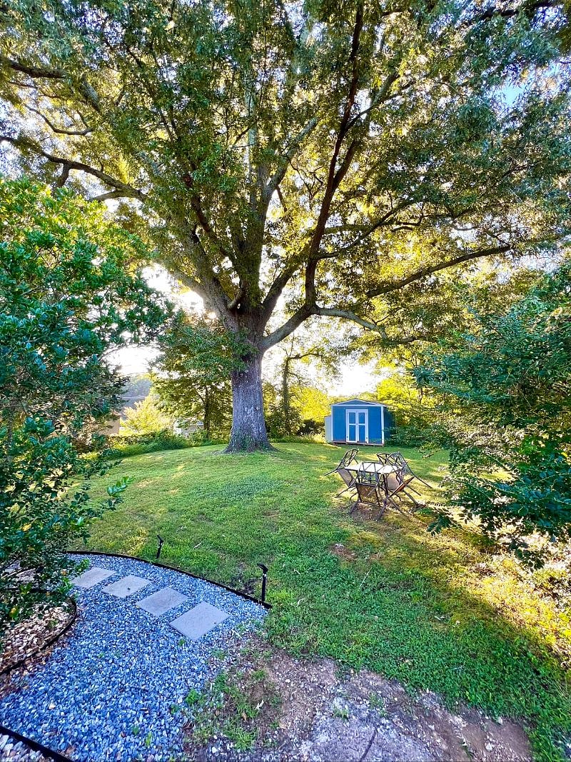 Enjoy our backyard while you stay with us! It isnt fenced in, but youre welcome to let your dog enjoy the space so long as you pick up after them.