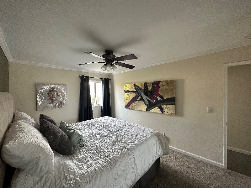 master bedroom with King bed