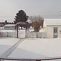 Winter Time backyard and driveway