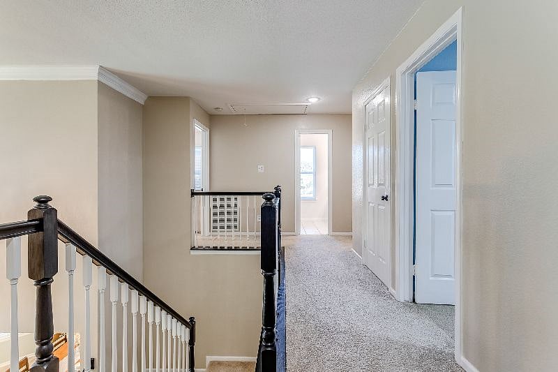 Furnished Finder property 453763_1 photo 26