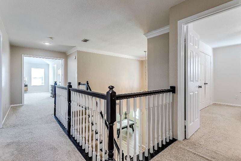 Furnished Finder property 453763_1 photo 42